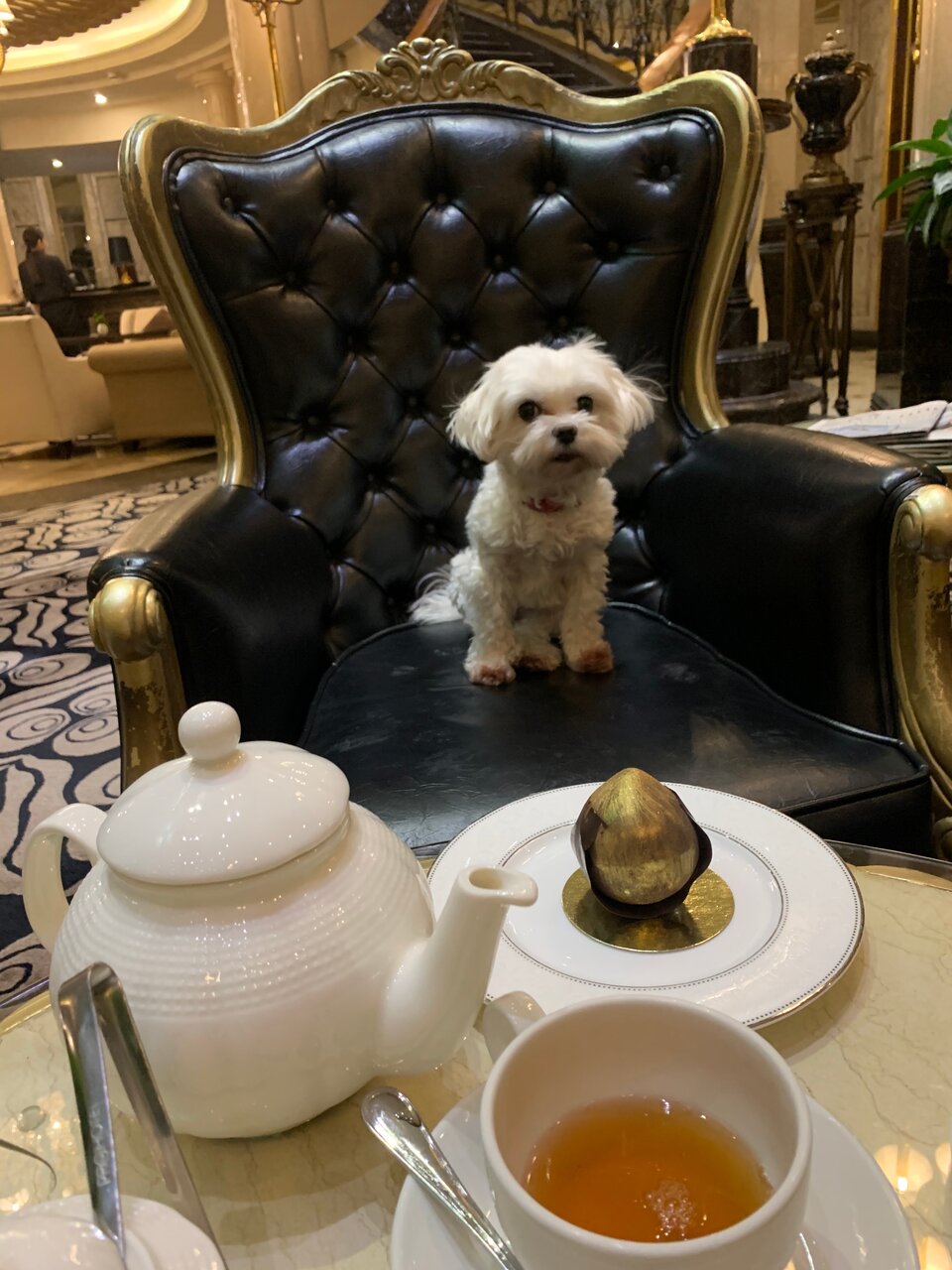 Гостиница The St. Regis Москва Никольская Москва-200