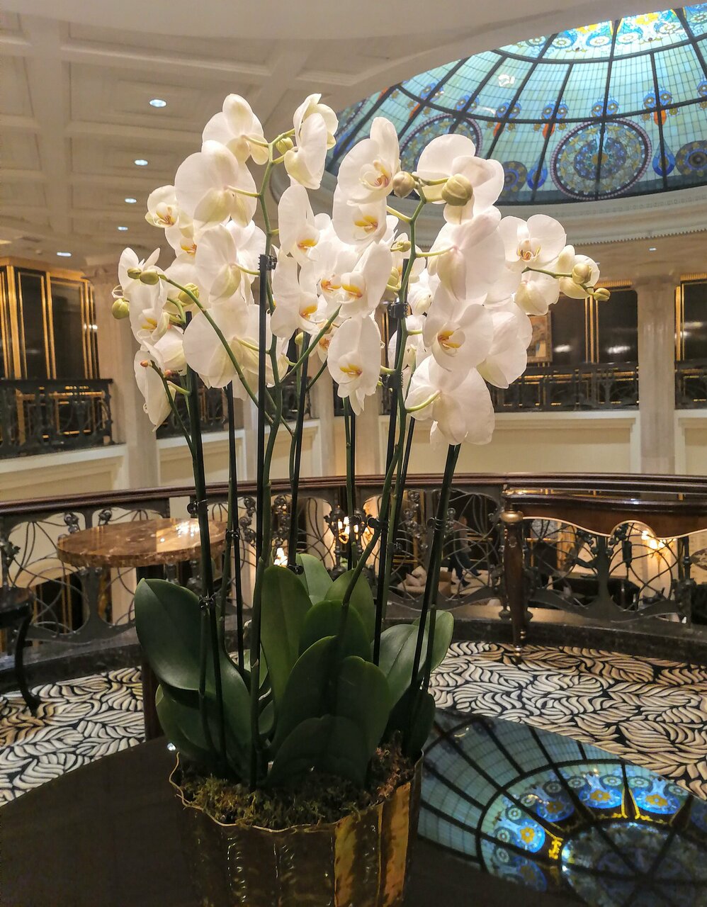 Гостиница The St. Regis Москва Никольская Москва-111