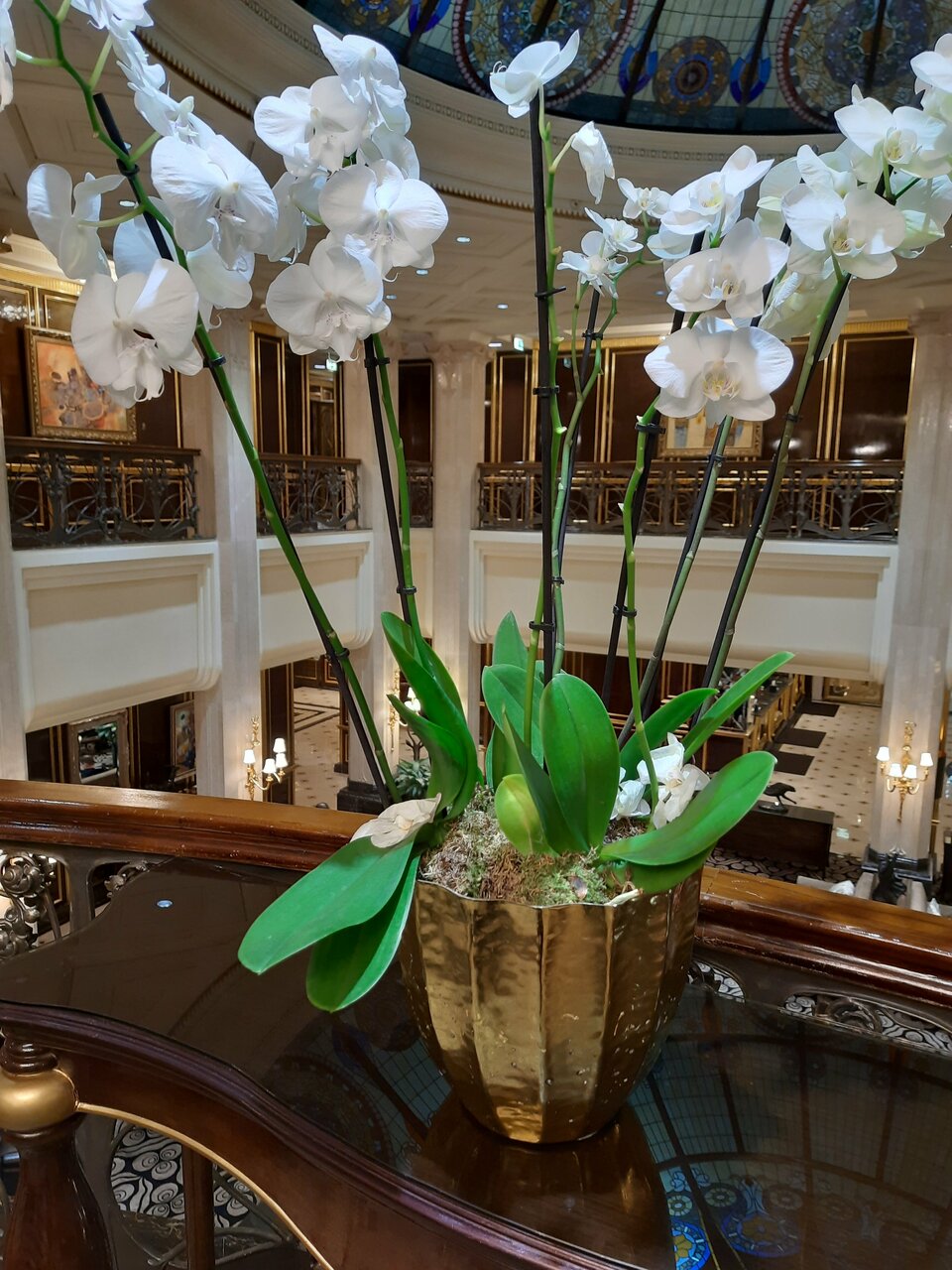 Гостиница The St. Regis Москва Никольская Москва-28