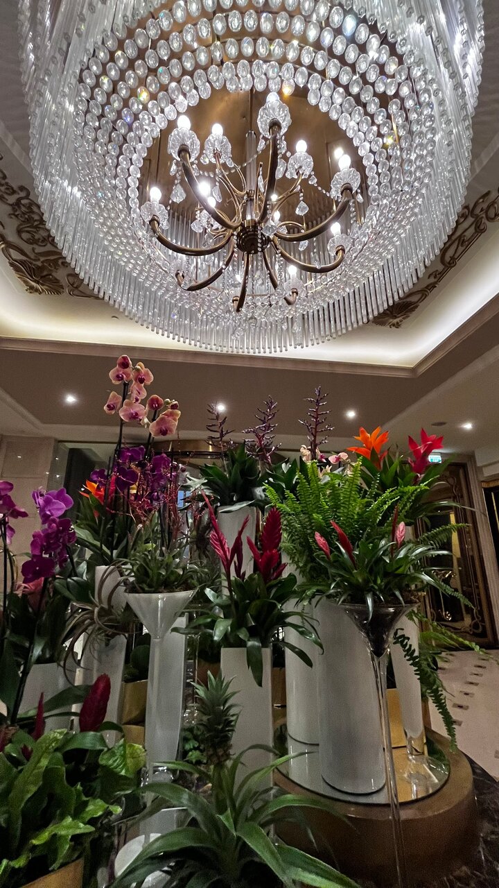 Гостиница The St. Regis Москва Никольская Москва-146