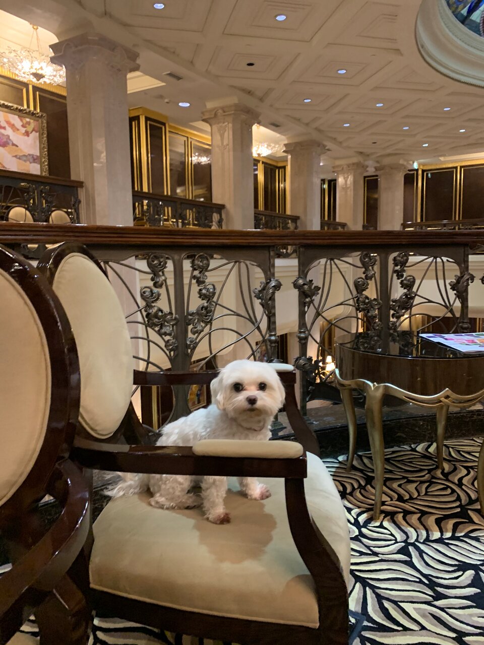 Гостиница The St. Regis Москва Никольская Москва-43