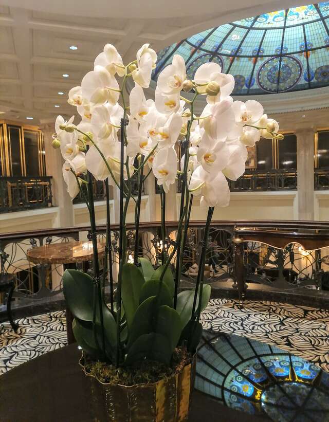 Гостиница The St. Regis Москва Никольская Москва-110