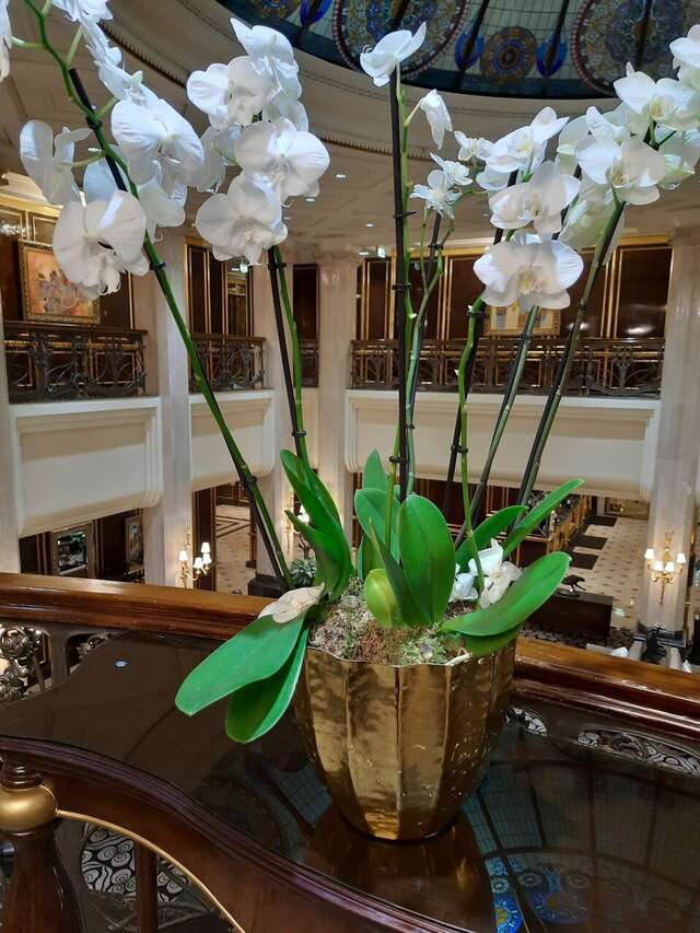 Гостиница The St. Regis Москва Никольская Москва-27